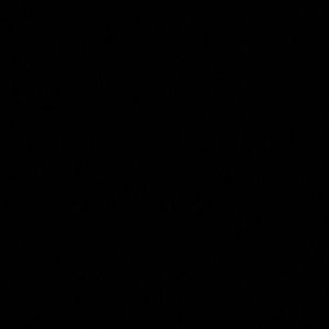 Meet your Posher, Dylan